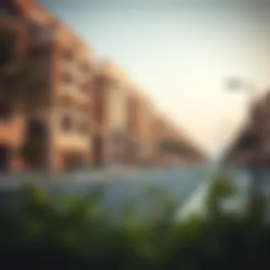 Magnificent An In-Depth Examination of Barsha 3: Navigating Dubai's Evolving Neighborhood