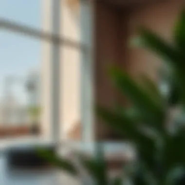 Magnificent Exploring Monthly Studio Rentals in Al Ruqa, Dubai