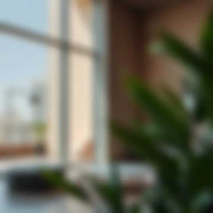 Magnificent Exploring Monthly Studio Rentals in Al Ruqa, Dubai