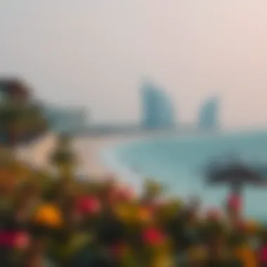 Magnificent Exploring the Beach Front Properties in Dubai