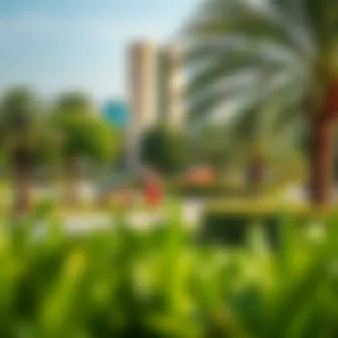 Engaging Green Spaces in Al Tilal City Vibrant community park within Al Tilal City