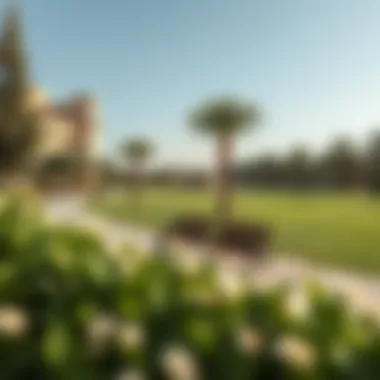 Serene Park in Meydan A serene park in Meydan, emphasizing the community's commitment to outdoor leisure and family activities