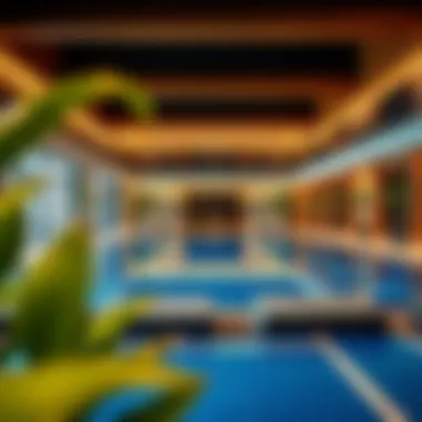 Amenities Featuring Pool and Fitness Center Amenities of Ascott Park Place Dubai featuring a stunning pool and fitness center