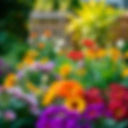 A beautifully designed garden bedspace showcasing vibrant flowers and lush greenery