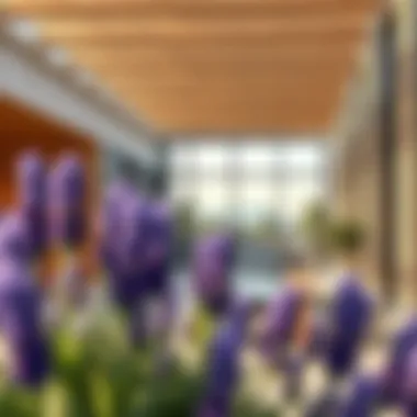 Investment Insights for Binghatti Lavender Investment opportunities and potential growth in the real estate market