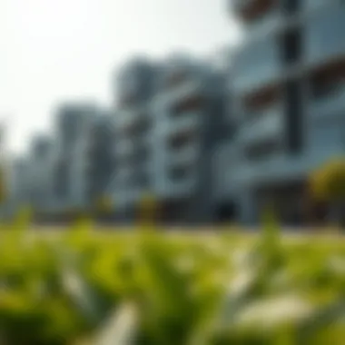 Sustainability in Real Estate Sustainable building practices in Dubai's real estate