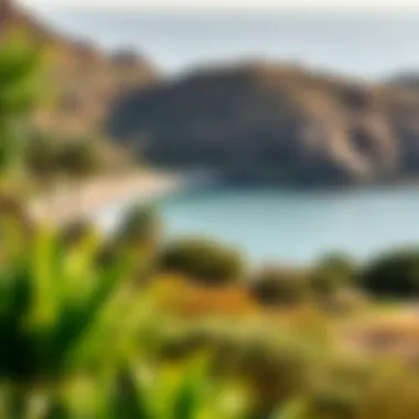 Natural Landscapes of Cedar Creek Beach Lush landscaping surrounding Cedar Creek Beach enhancing natural beauty