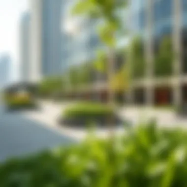 Public amenities and green spaces within Central Park Plaza