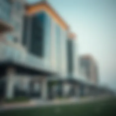 The Importance of Ejari in Real Estate Significance of Ejari in real estate