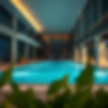 Amenities in Serviced Apartments Amenities offered in serviced apartments such as pool and gym