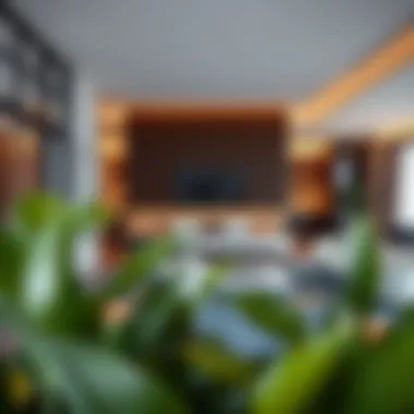 Amenities in Deira surrounding studio flats