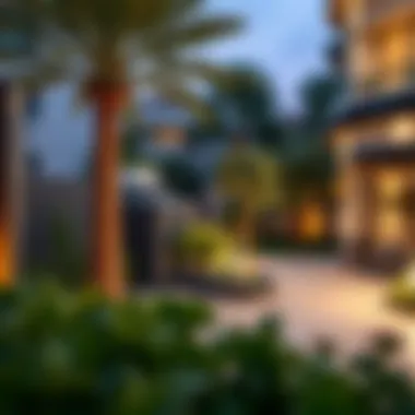 Beautifully Landscaped Outdoor Area Beautifully landscaped outdoor area of a Damac property