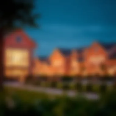 Vibrant Community and Amenities A vibrant community featuring amenities and recreational areas in Danube Homes projects