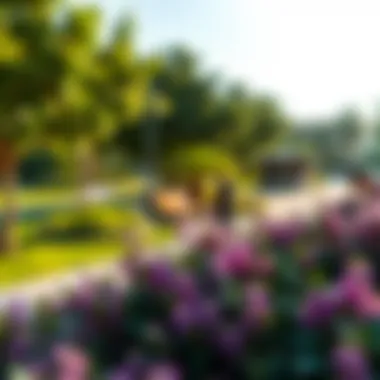 Lush green community park in Dubai Hills