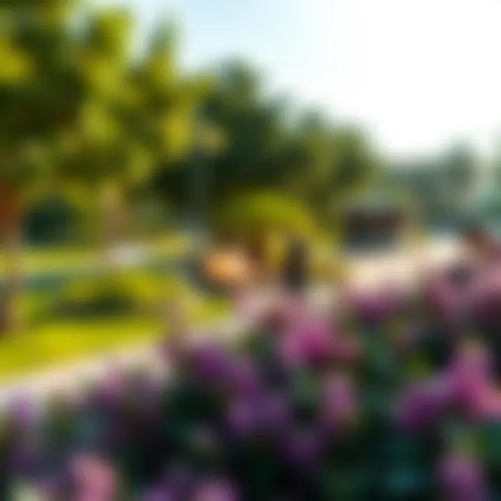 Lush green community park in Dubai Hills