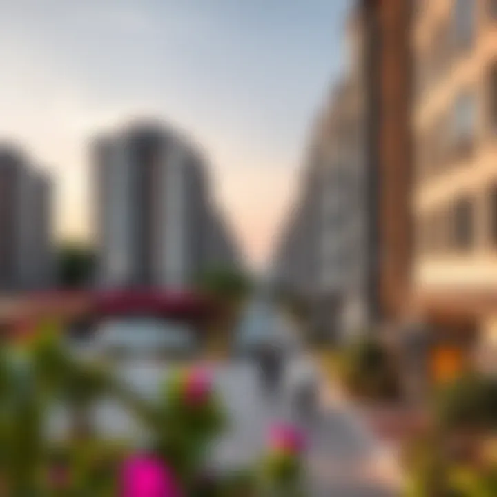 Vibrant community view surrounding Ahmed Al Abdulla Residence in Dubai