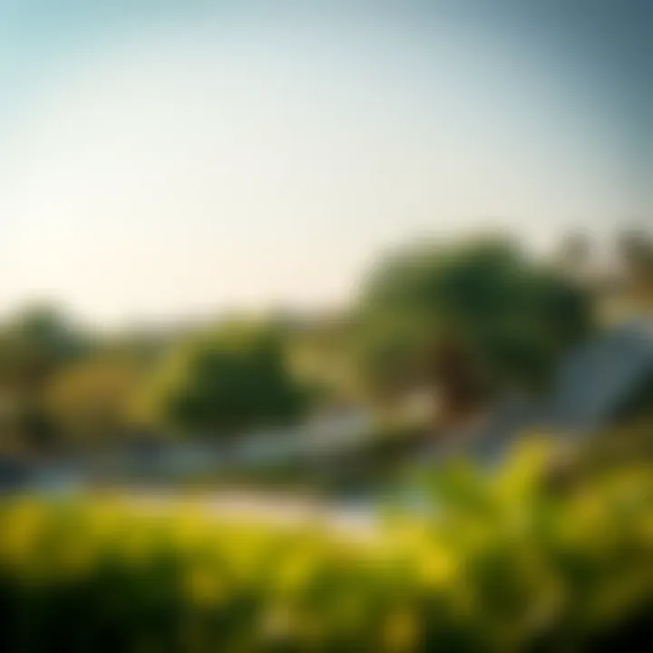 Lush green parks and community spaces in Ajman Zorah