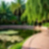 Lush greenery surrounding the pond