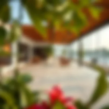 Vibrant community spaces within Ansam