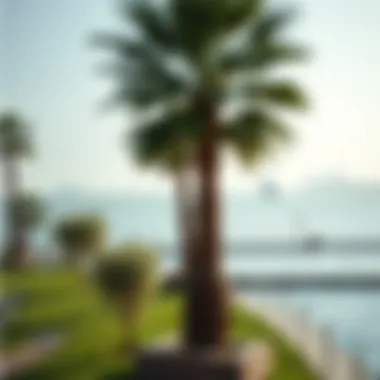 Relaxing Waterfront Parks Near Jumeirah Serene waterfront parks near Jumeirah offering relaxation and leisure