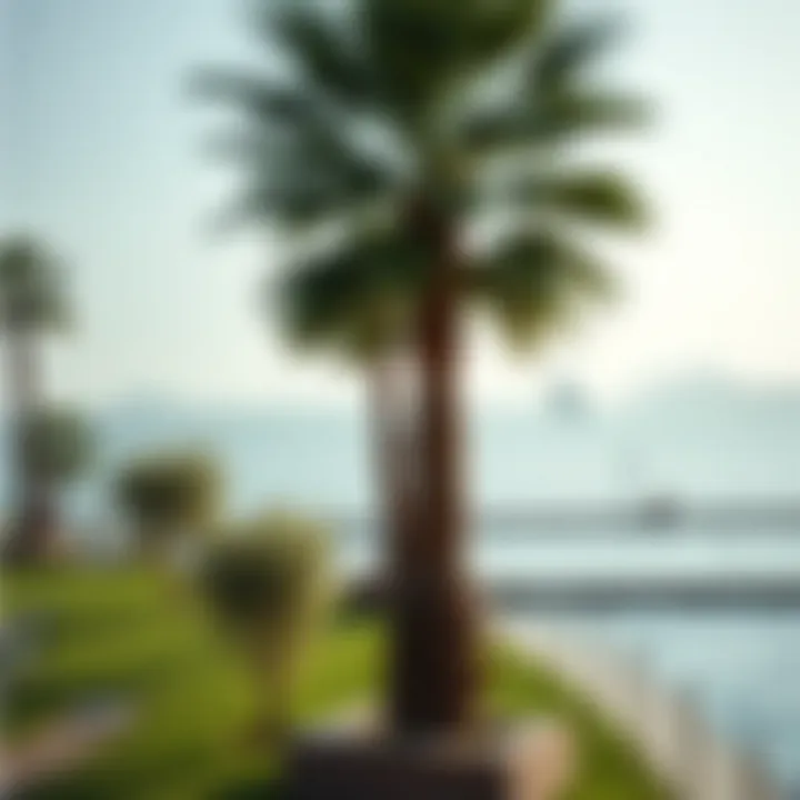 Relaxing Waterfront Parks Near Jumeirah Serene waterfront parks near Jumeirah offering relaxation and leisure