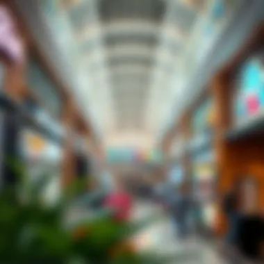 Vibrant Shopping Experience at Bin Shabib Mall Interior shot of a vibrant shopping area within Bin Shabib Mall