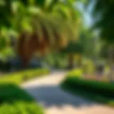 Lush greenery and serene pathways of Dubai Quran Park