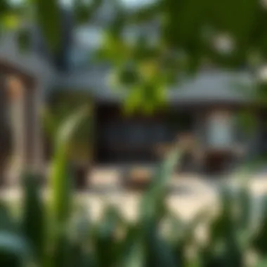 Sustainability at the Core of Garden Home Living Sustainable features integrated within a garden home