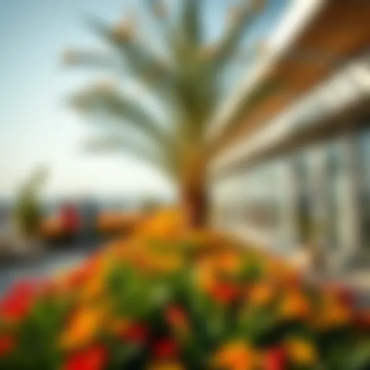 Panoramic view of Ghala Garden's community spaces filled with vibrant flora