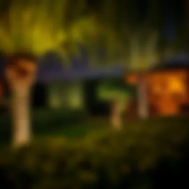 Ghala Garden at Night Night view of Ghala Garden illuminated by ambient lighting