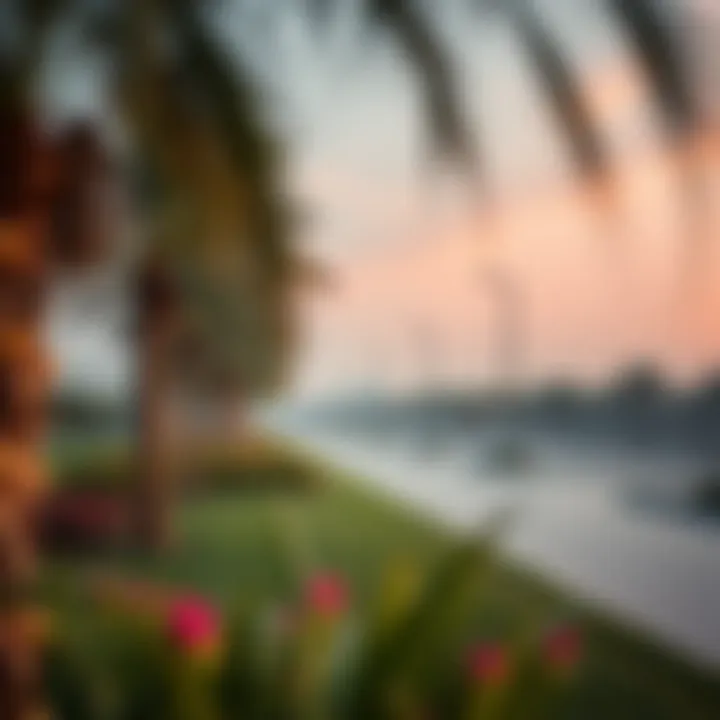 Tranquil parks and recreational areas in حدائق الجرف كيان enhancing lifestyle options