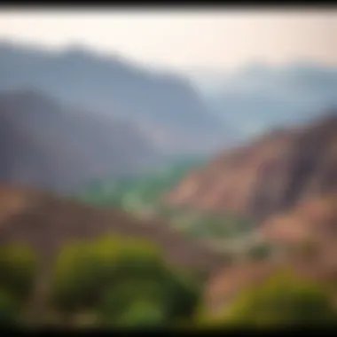 Lush Landscapes of Hatta Natural beauty of Hatta showcasing lush landscapes and serenity