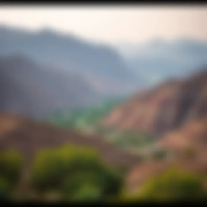 Lush Landscapes of Hatta Natural beauty of Hatta showcasing lush landscapes and serenity