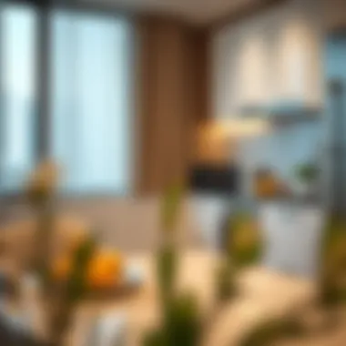 Modern Kitchen Setup for Comfort and Convenience Modern kitchen setup in a hotel apartment