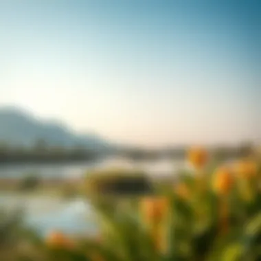 Sustainability Around Khalid Lake Environmental aspects of Khalid Lake reflecting sustainability efforts in Dubai