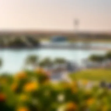 Recreational activities around Khalid Lake highlighting jogging paths and leisure areas