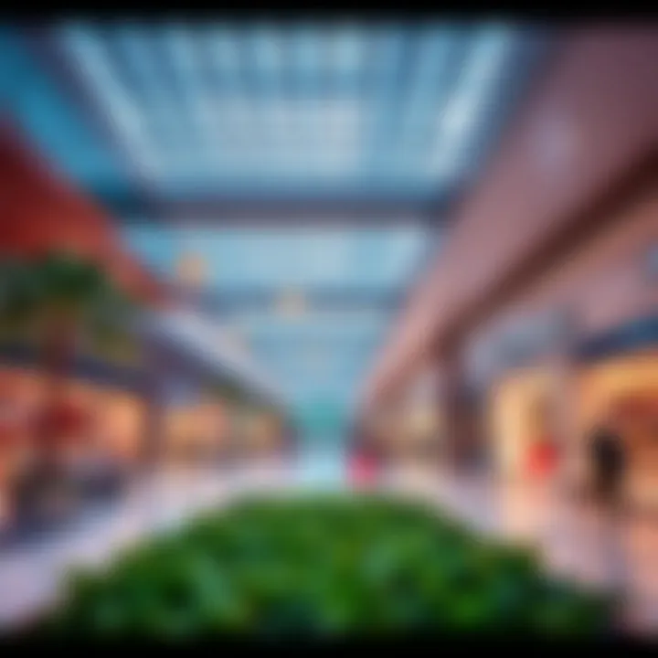 Exploring Manar Mall: A Comprehensive Insight into Dubai's Retail Hub Summary