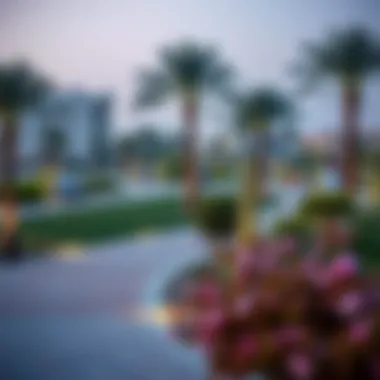 Community Park in Nad Al Shiba Gardens Community park in Nad Al Shiba Gardens featuring recreational areas and pathways