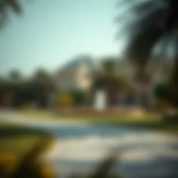 Exploring Parks in Dubai: A Comprehensive Guide Introduction