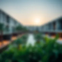 A panoramic view of a premium school in Dubai showcasing modern architecture and green spaces