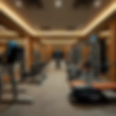 Innovative Fitness Equipment Innovative fitness equipment in a private gym setting