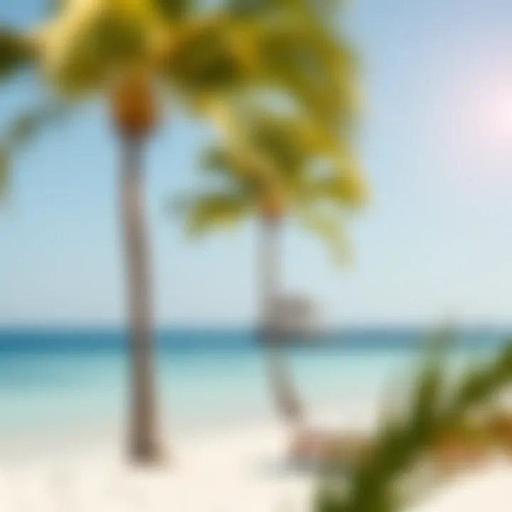 Tranquil Beachfront on a Private Island Serene beach scene on a private island