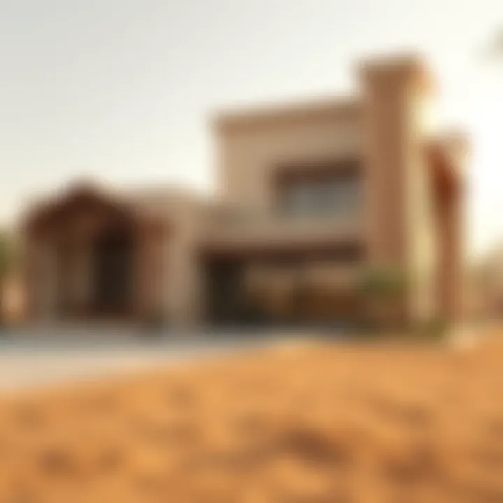 A representation of the investment potential in Dubai's ranch real estate market