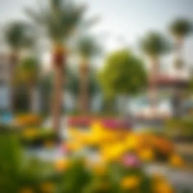 Community Parks: A Breath of Fresh Air Vibrant community park in a Dubai neighborhood