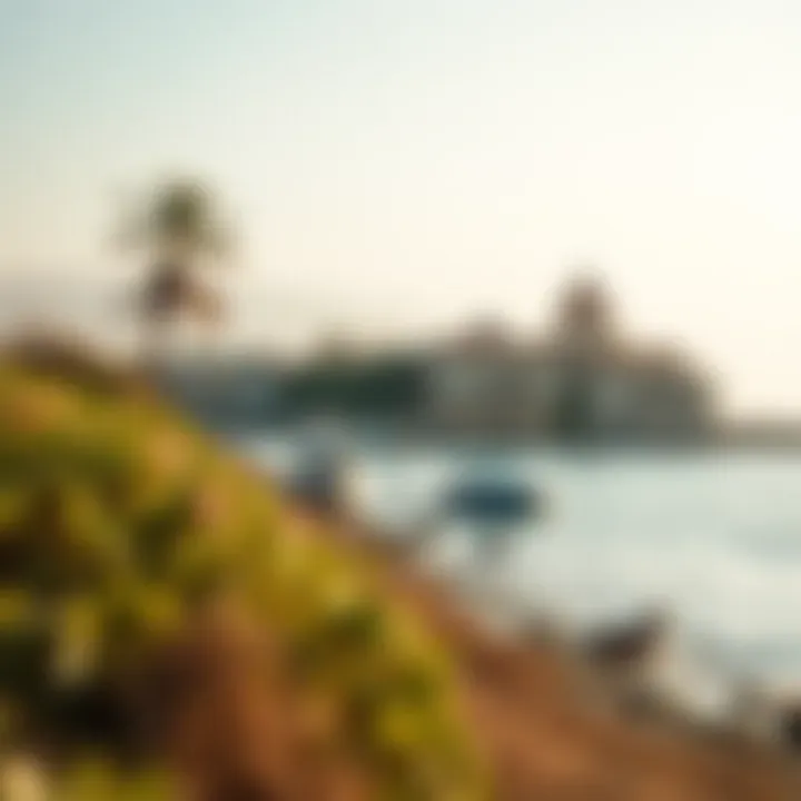 Ecological Diversity at شاطئ الحديريات Ecological diversity along the shores of شاطئ الحديريات