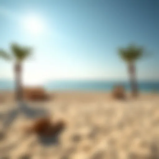 Stunning view of a UAE beach during spring