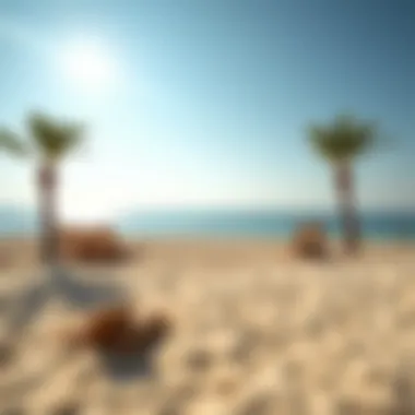 A Serene Beach Experience in the UAE Stunning view of a UAE beach during spring