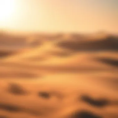 The Captivating Beauty of the UAE Desert Breathtaking landscape of UAE desert during spring