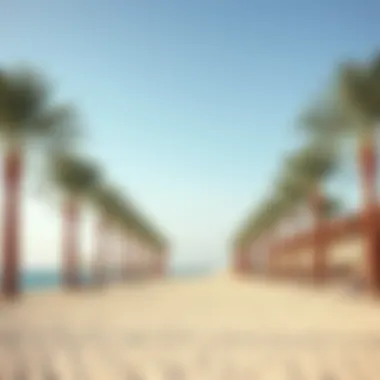 Abu Dhabi Resort Beach Luxurious resort beach in Abu Dhabi with palm trees