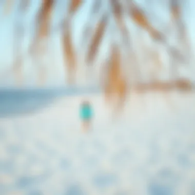 Ajman Serene Beach Serene beach in Ajman with calm waters and white sands